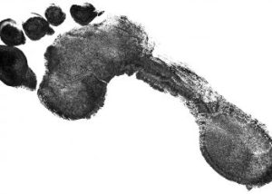 Footprint-350x250